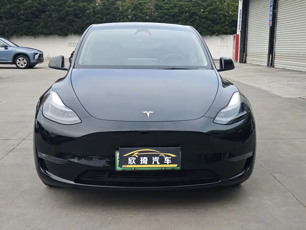 Tesla Model Y — фото 2