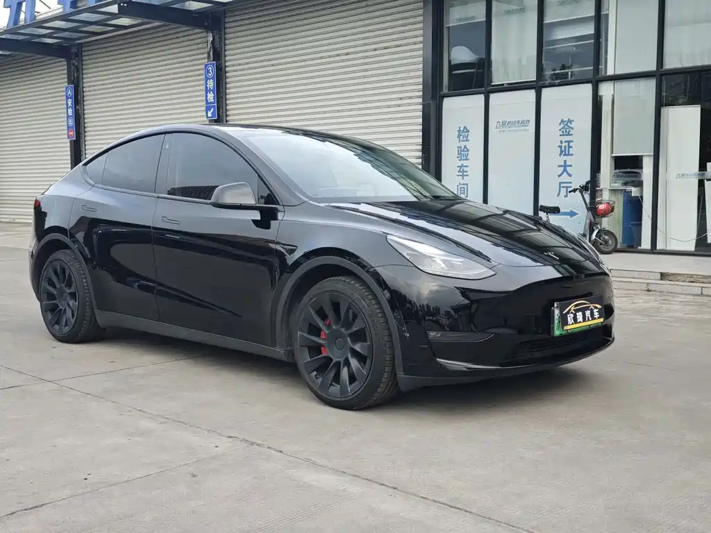 Tesla Model Y — фото 3