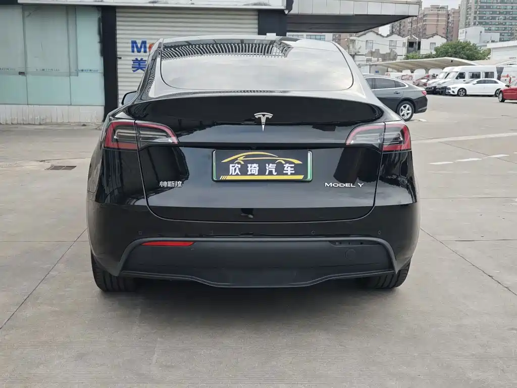 Tesla Model Y — фото 5