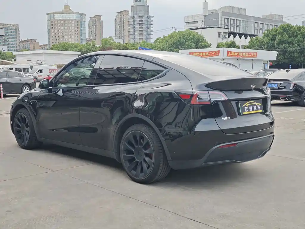 Tesla Model Y — фото 6