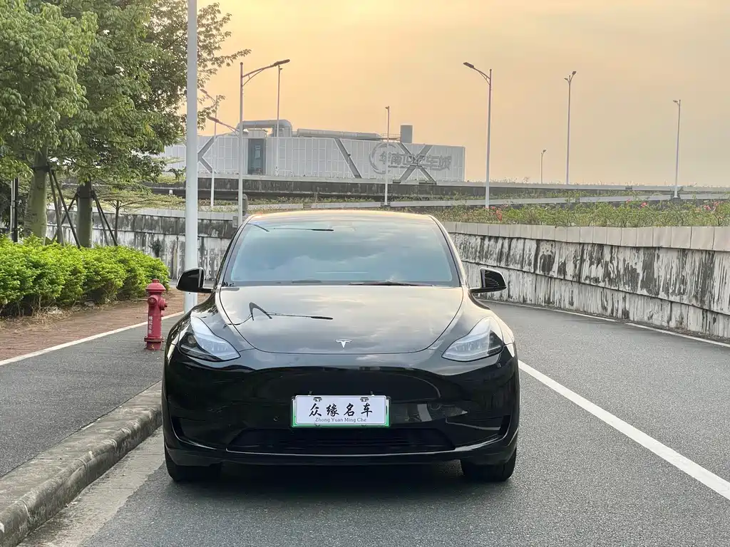 Tesla Model Y — фото 2