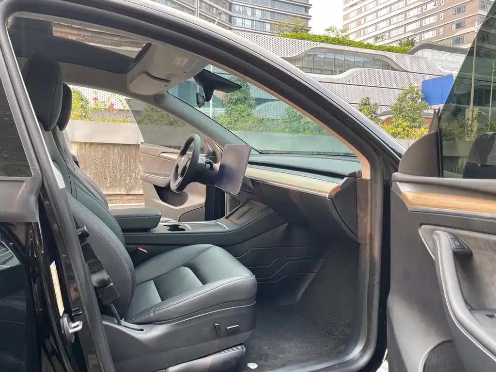 Tesla Model Y — фото 11
