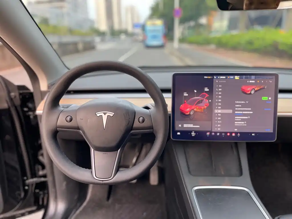 Tesla Model Y — фото 13