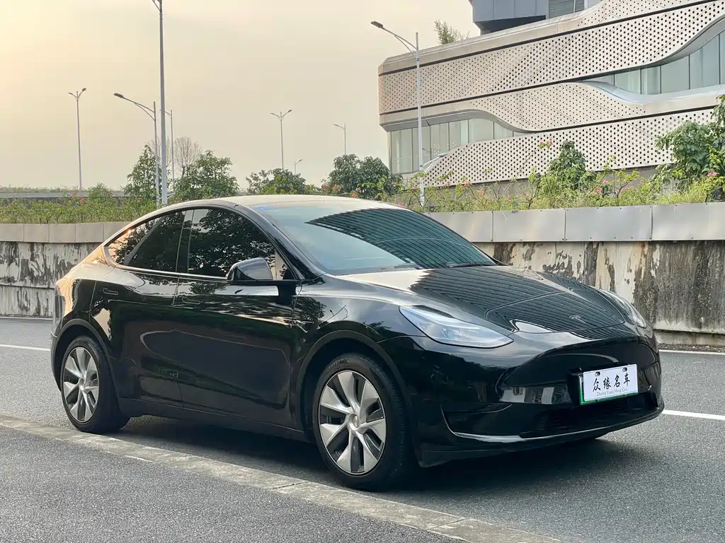 Tesla Model Y — фото 3