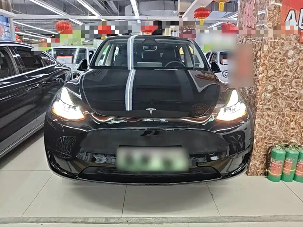 Tesla Model Y — фото 3