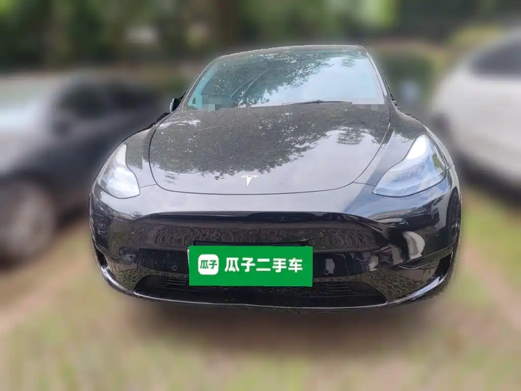 Tesla Model Y — фото 2