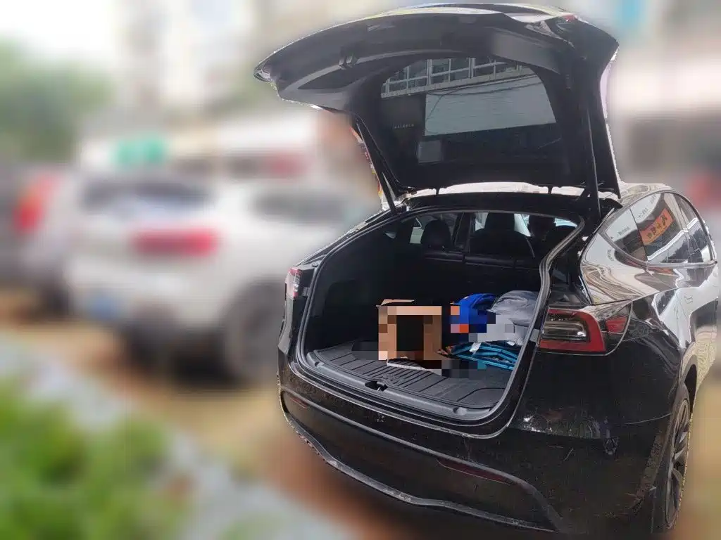 Tesla Model Y — фото 15