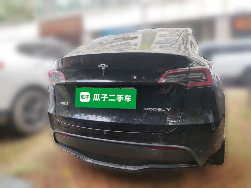 Tesla Model Y — фото 3