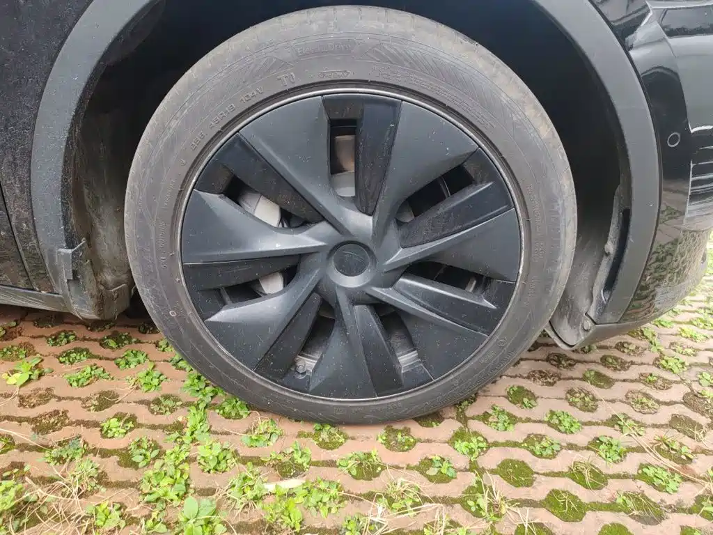 Tesla Model Y — фото 24