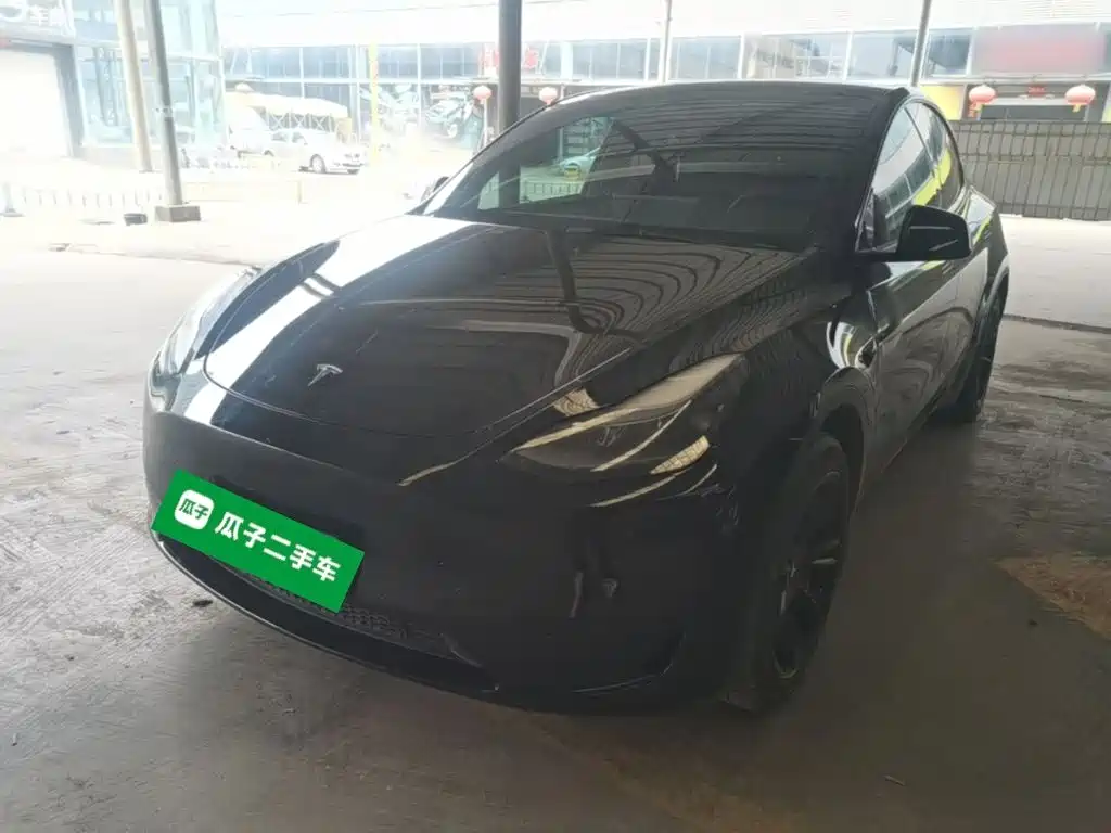 Tesla Model Y — фото 2