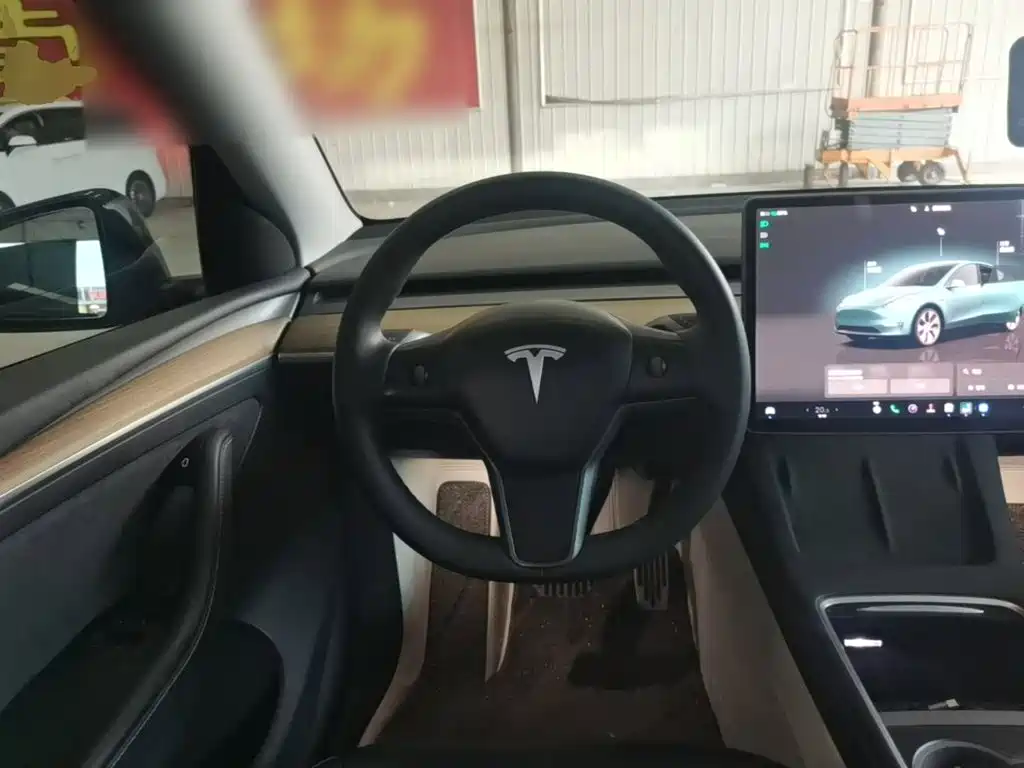 Tesla Model Y — фото 11