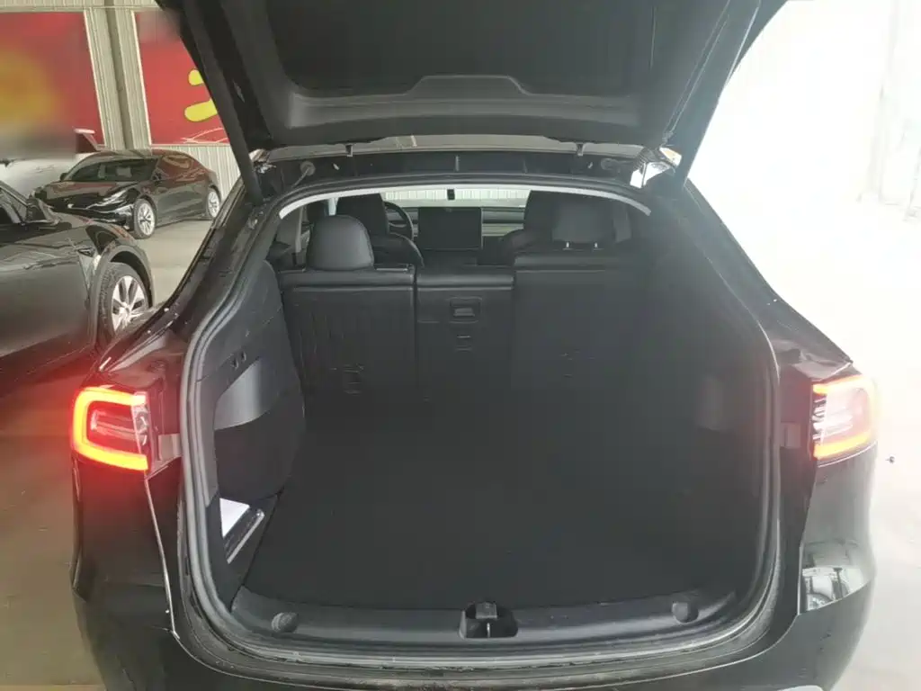 Tesla Model Y — фото 19
