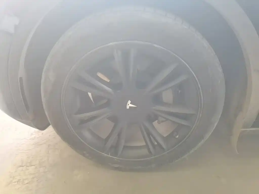Tesla Model Y — фото 23