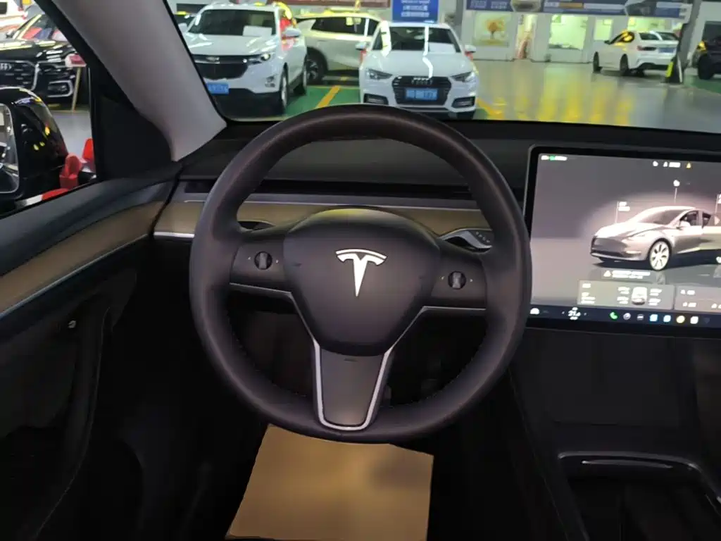 Tesla Model Y — фото 11