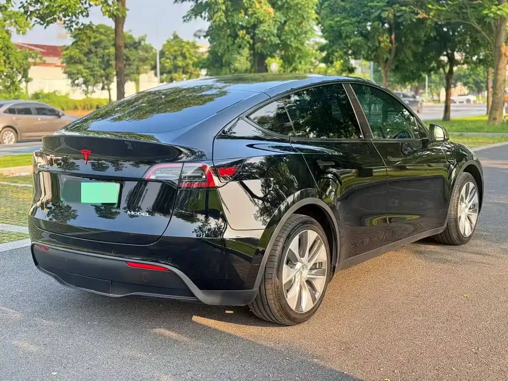 Tesla Model Y — фото 3