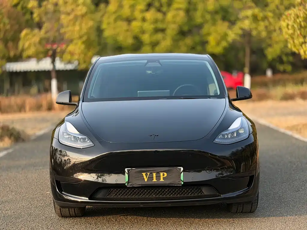 Tesla Model Y — фото 2