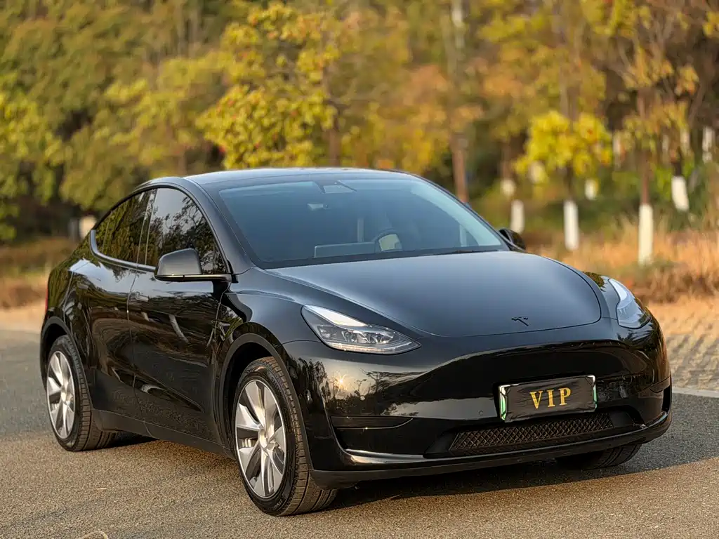 Tesla Model Y — фото 3