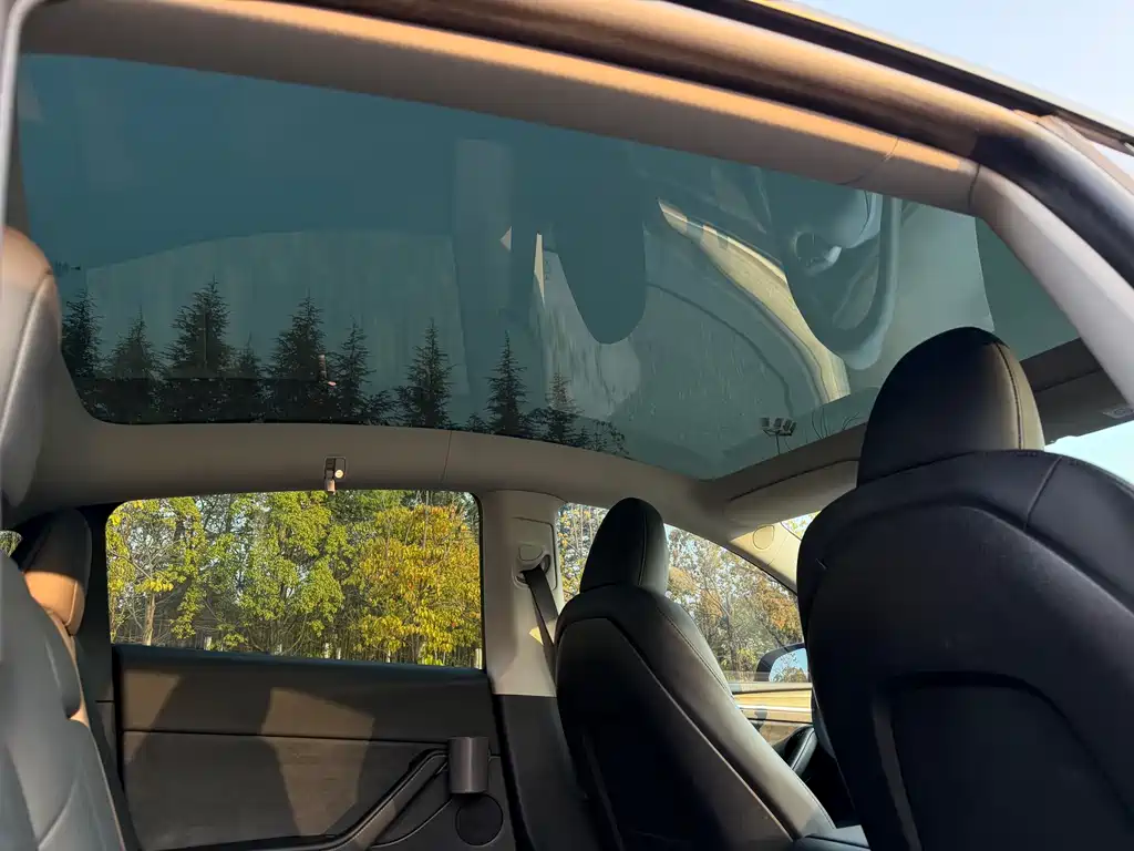 Tesla Model Y — фото 22
