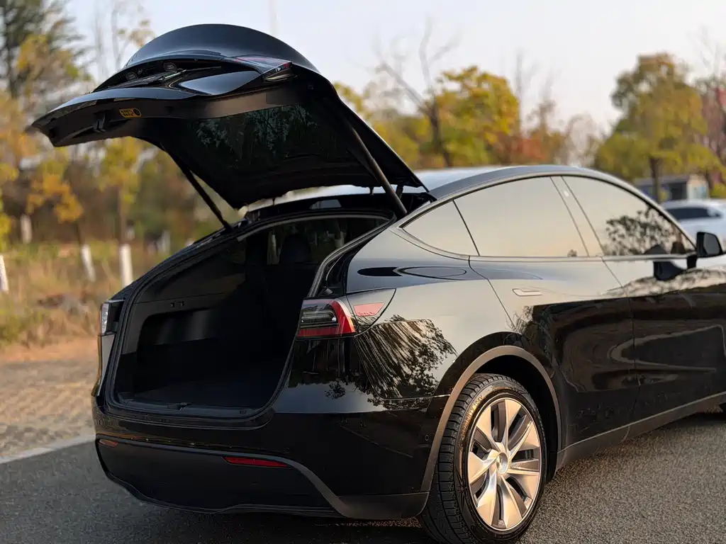 Tesla Model Y — фото 23