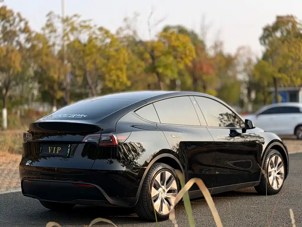 Tesla Model Y — фото 6