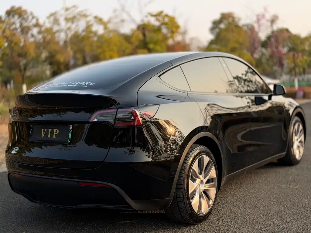 Tesla Model Y — фото 7