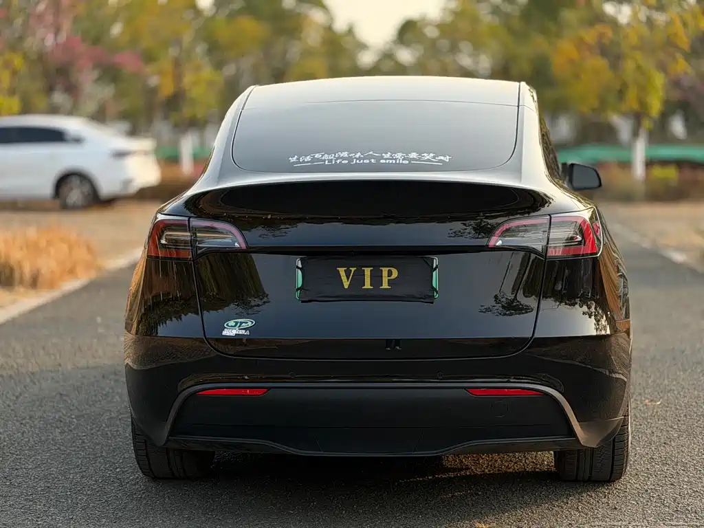 Tesla Model Y — фото 8