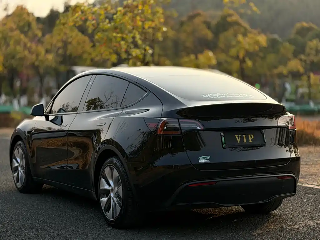 Tesla Model Y — фото 9