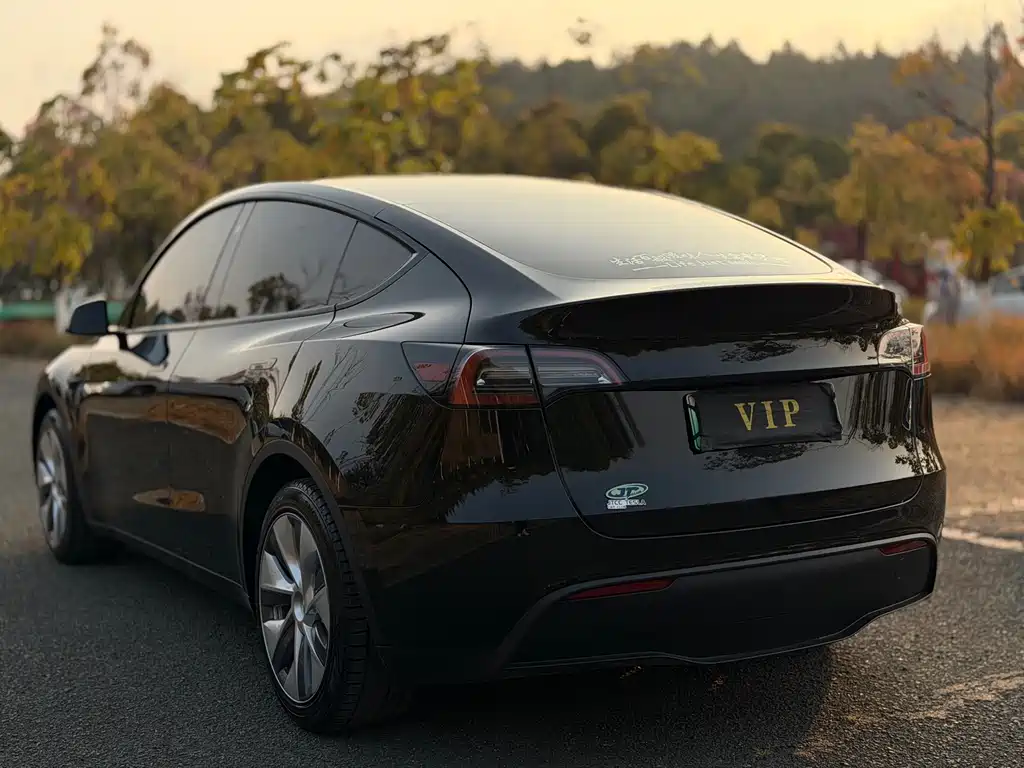 Tesla Model Y — фото 10