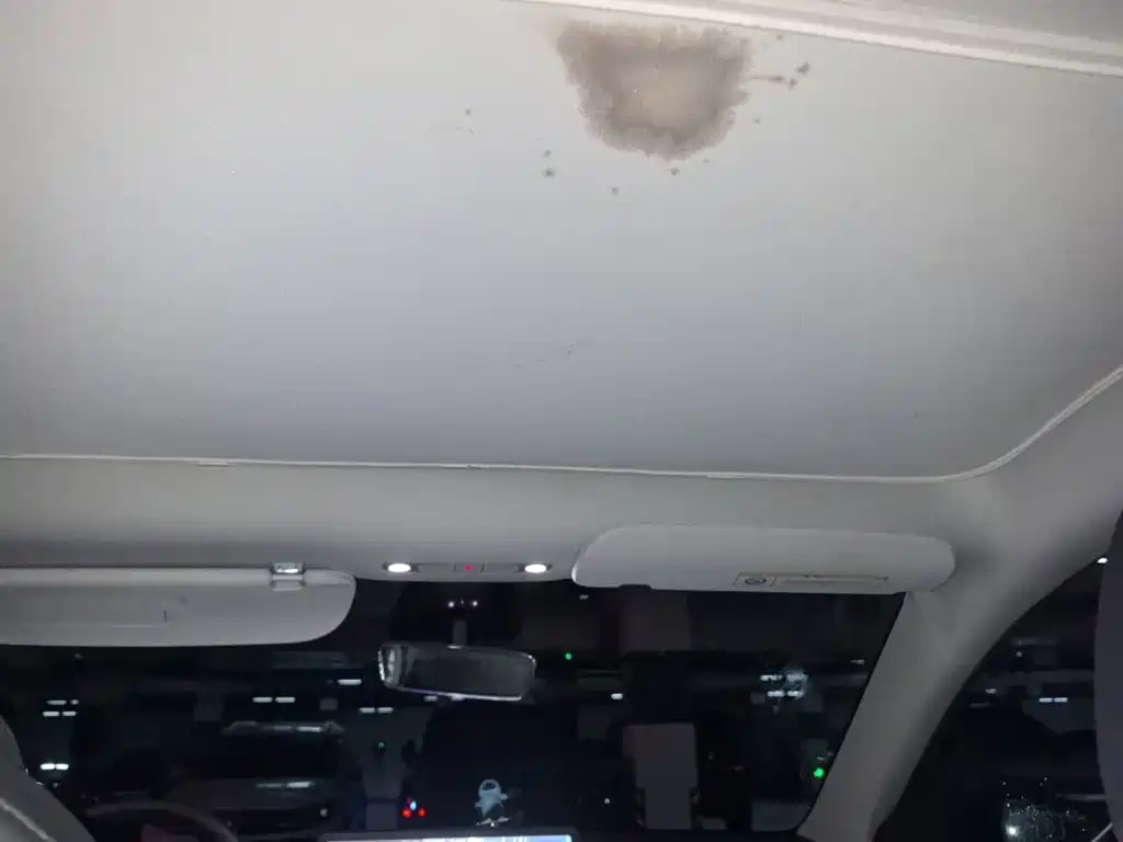 Tesla Model Y — фото 14