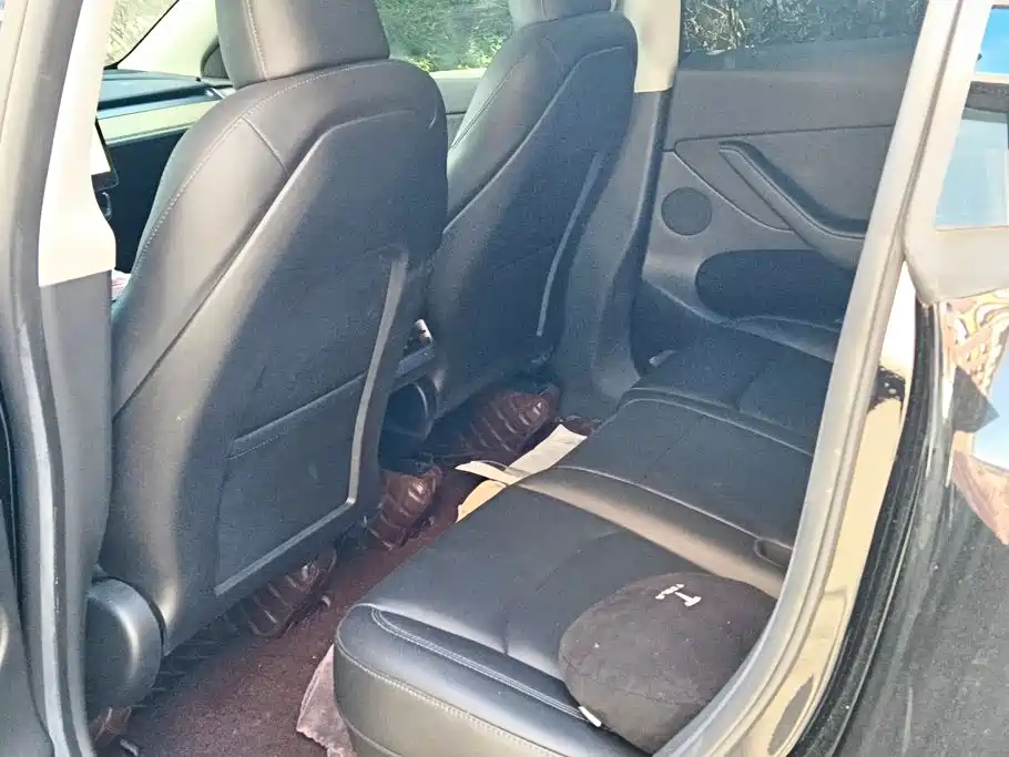 Tesla Model Y — фото 11