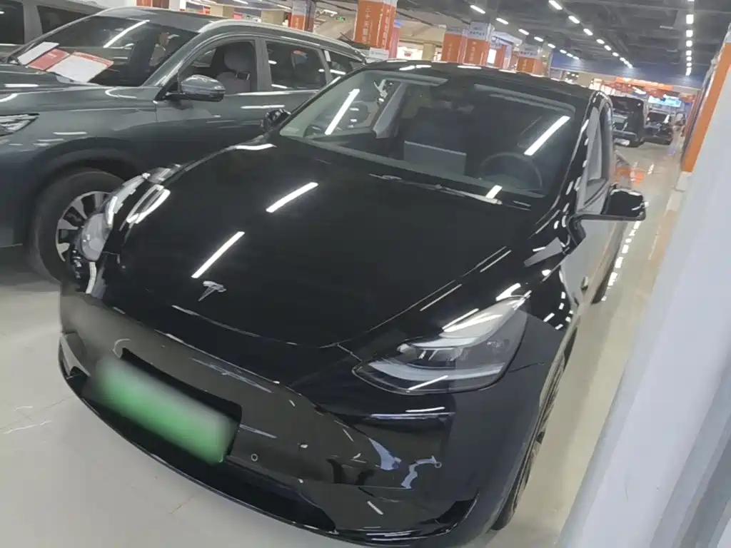 Tesla Model Y — фото 2