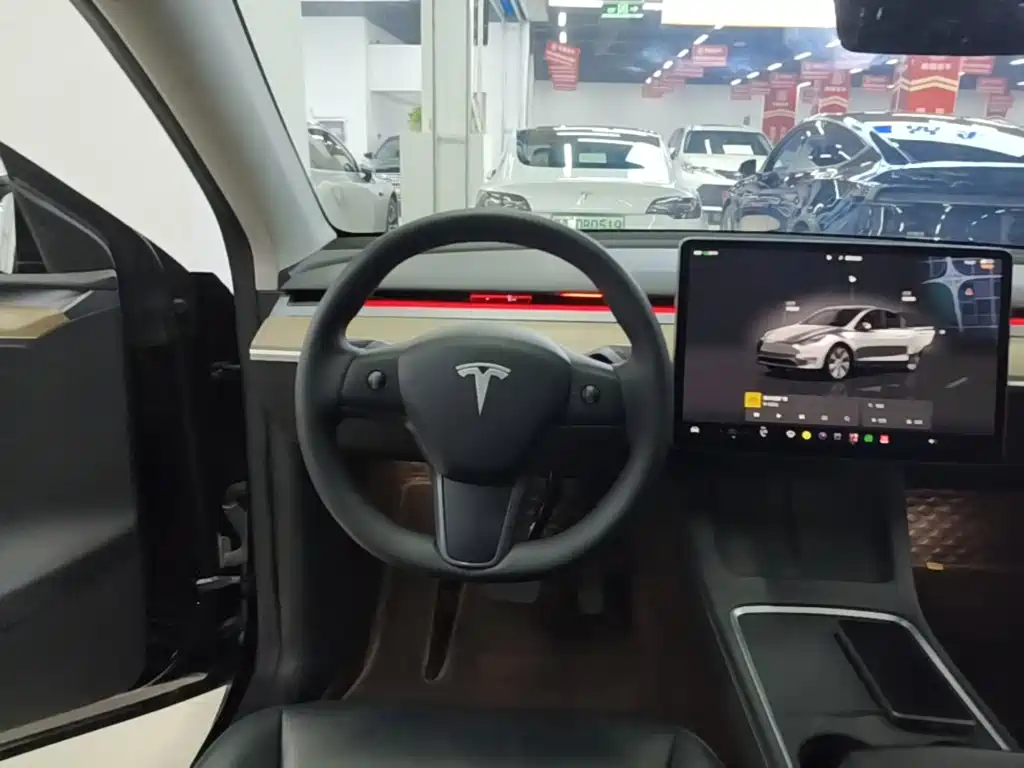 Tesla Model Y — фото 11