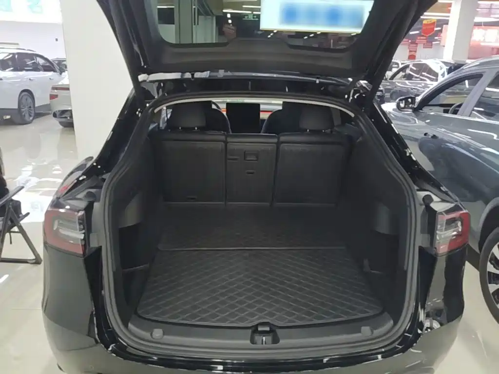 Tesla Model Y — фото 19