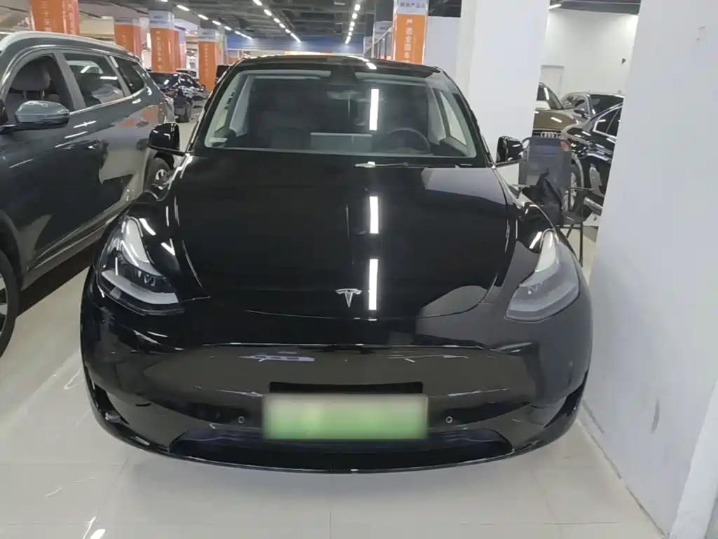 Tesla Model Y — фото 3
