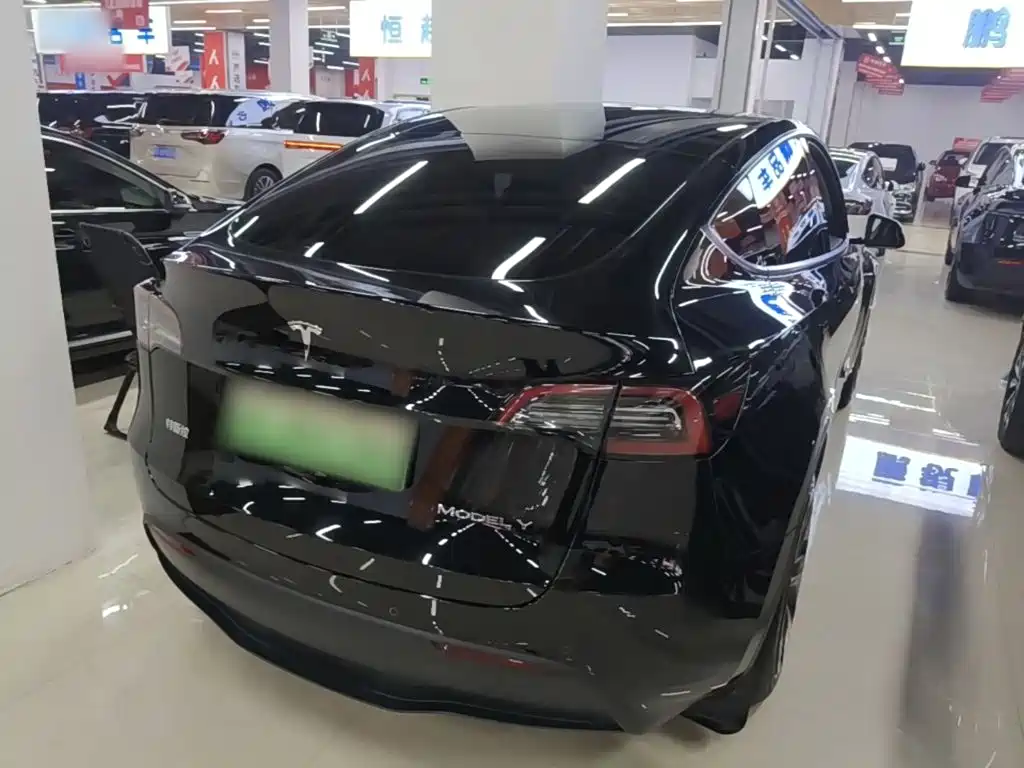 Tesla Model Y — фото 7