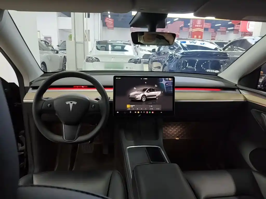 Tesla Model Y — фото 10