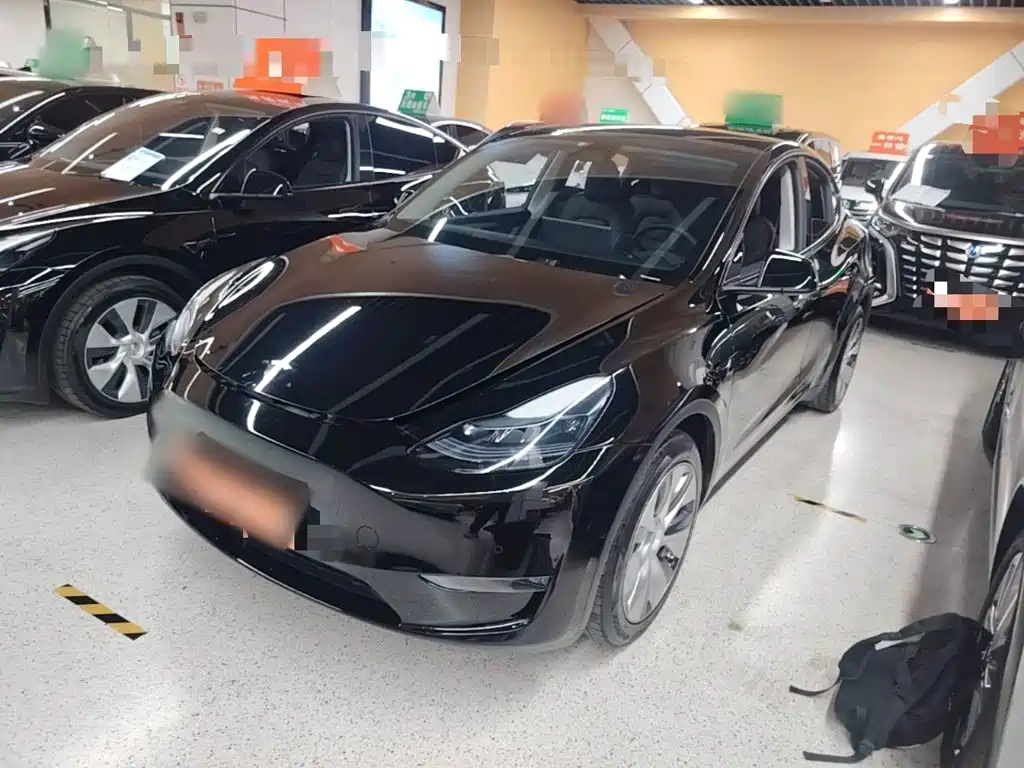 Tesla Model Y — фото 2