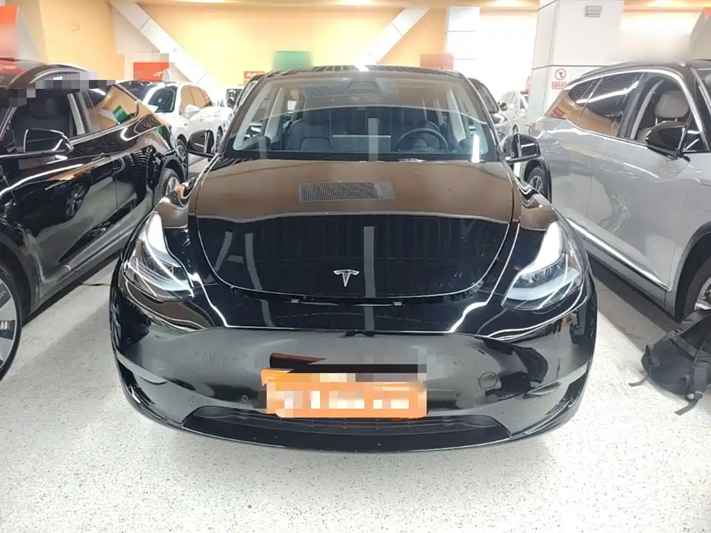 Tesla Model Y — фото 3