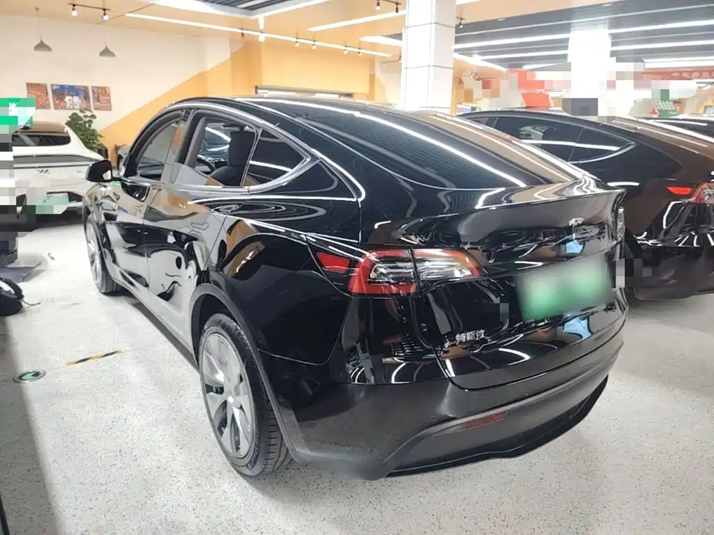 Tesla Model Y — фото 23