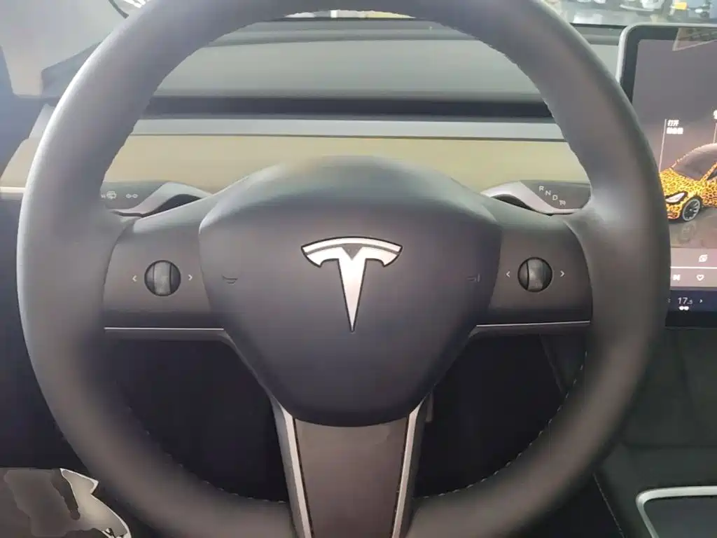 Tesla Model Y — фото 11
