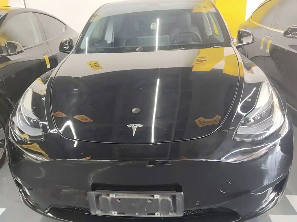 Tesla Model Y — фото 3