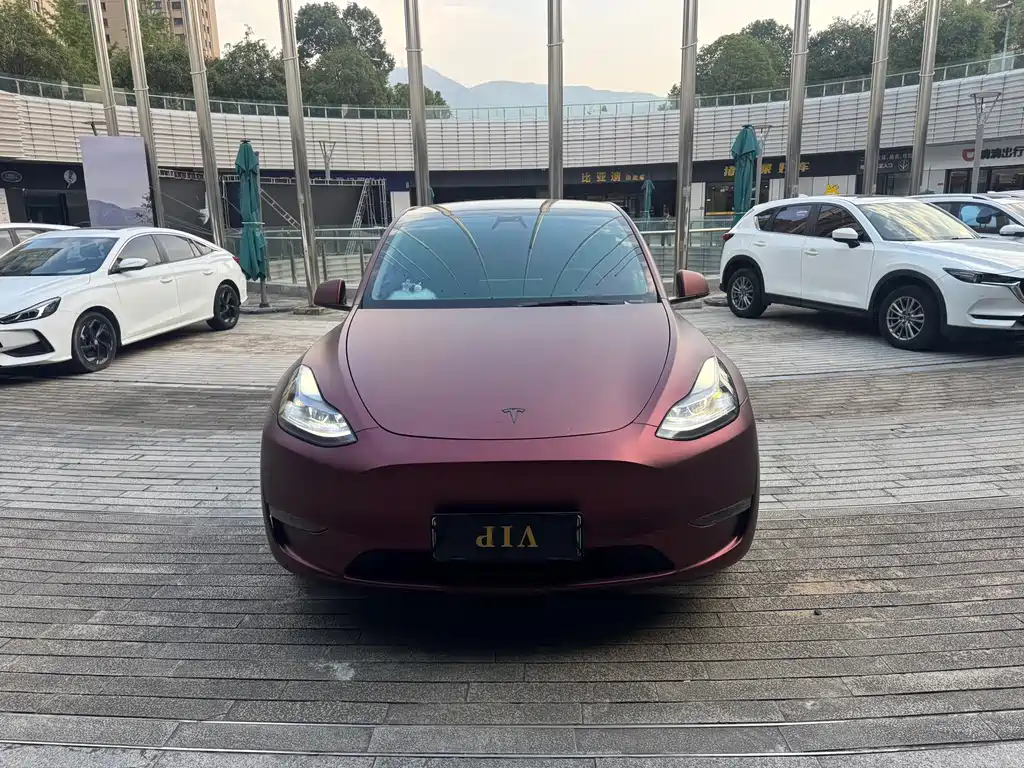 Tesla Model Y — фото 2