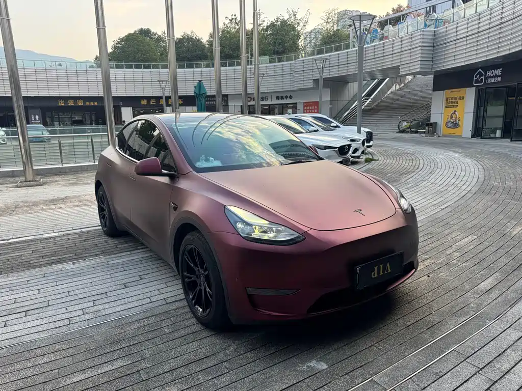 Tesla Model Y — фото 3