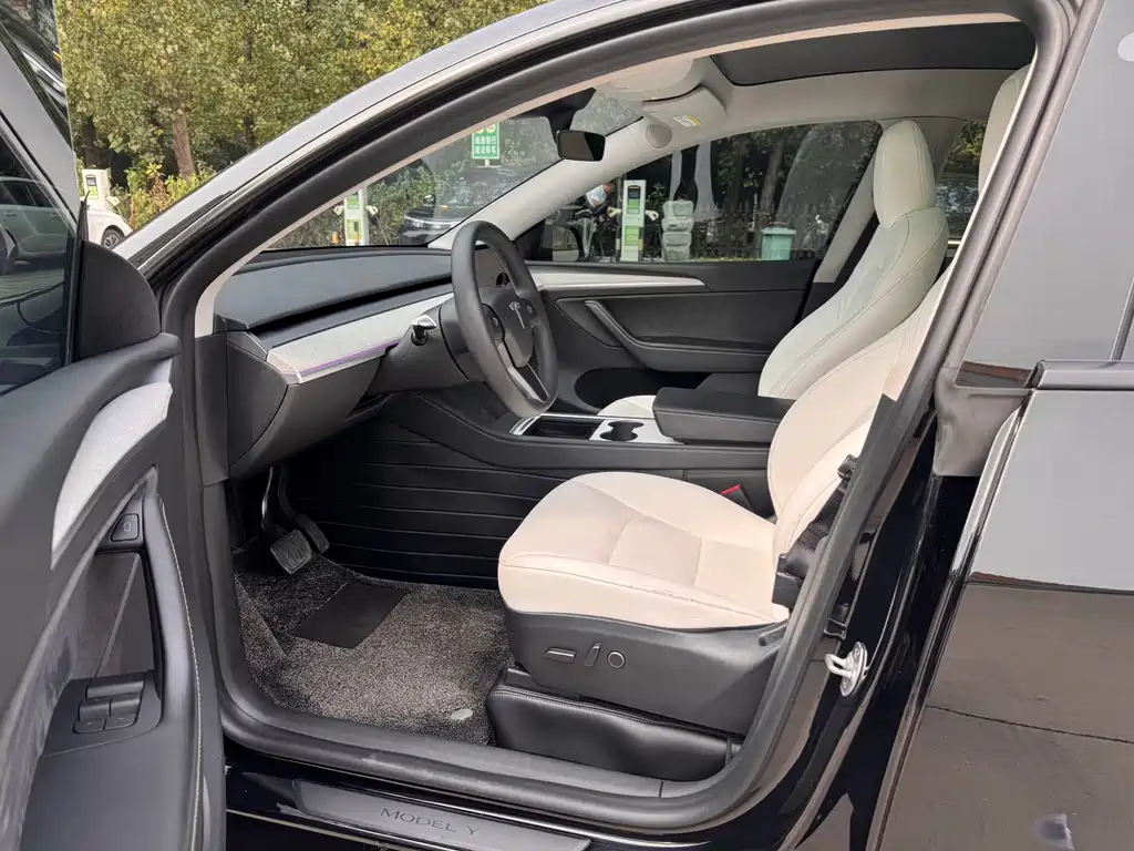 Tesla Model Y — фото 2