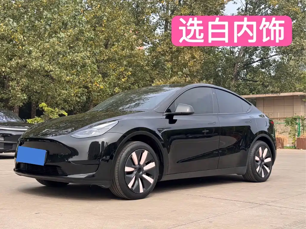 Tesla Model Y — фото 6
