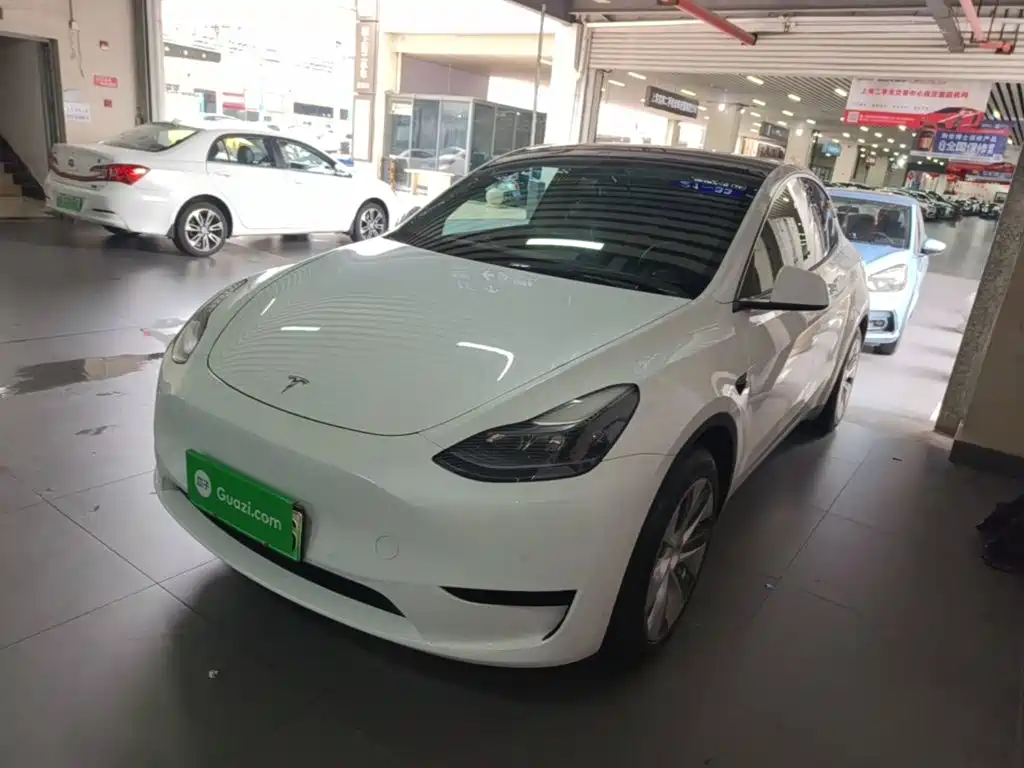 Tesla Model Y — фото 2