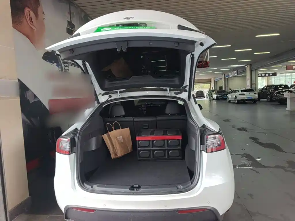 Tesla Model Y — фото 19