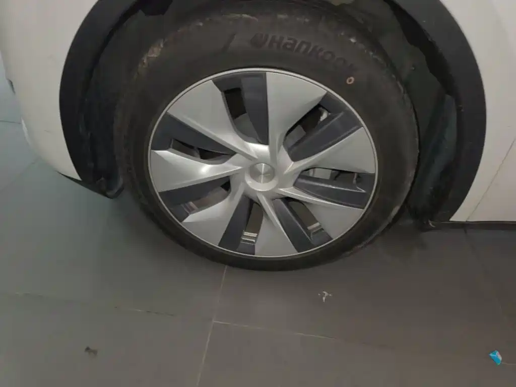 Tesla Model Y — фото 23