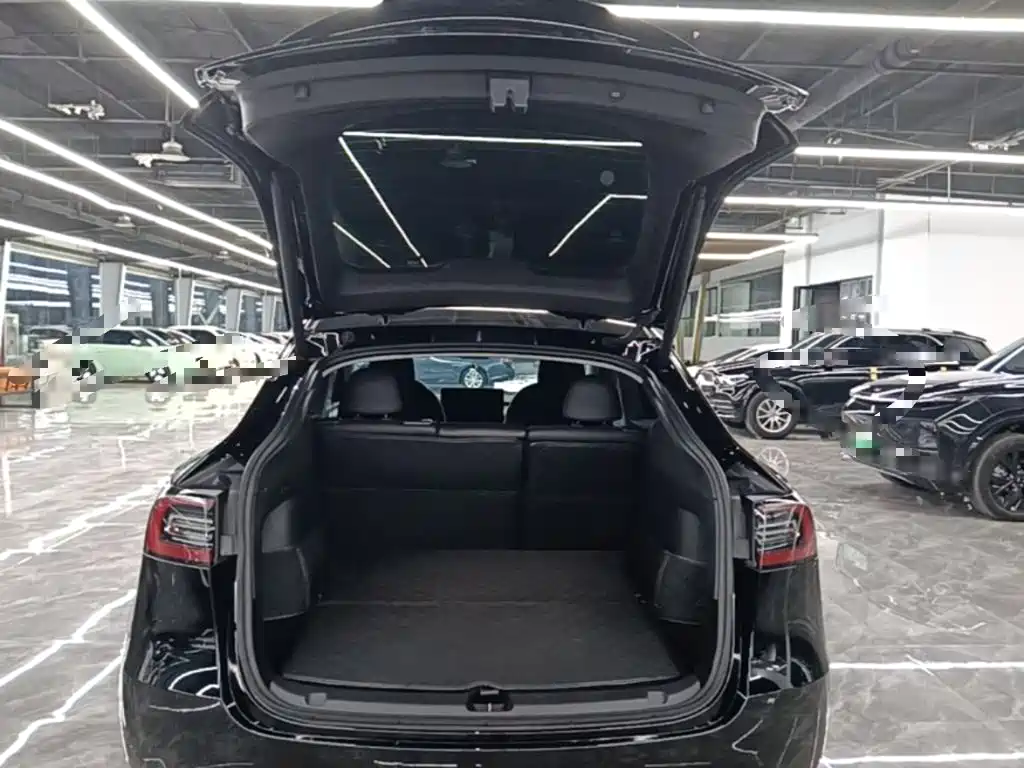 Tesla Model Y — фото 19