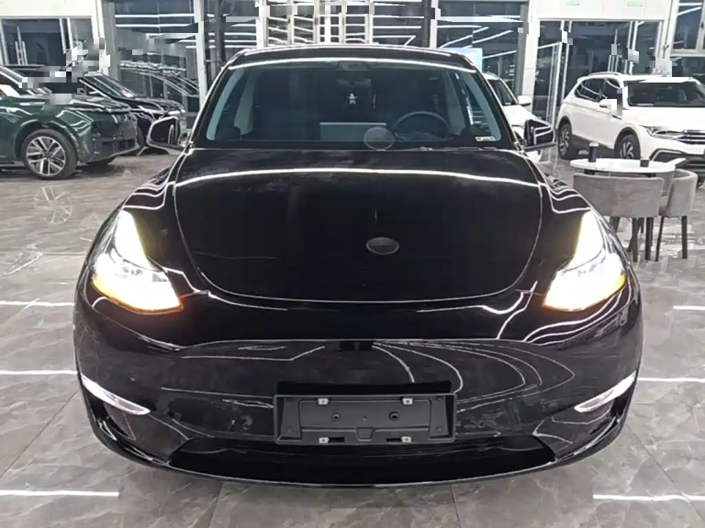 Tesla Model Y — фото 3
